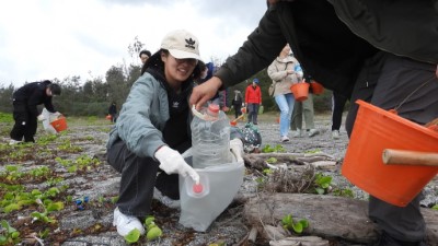 七星潭啟動臨海植群「宮脇法」復育，　營造親人的森林生態。